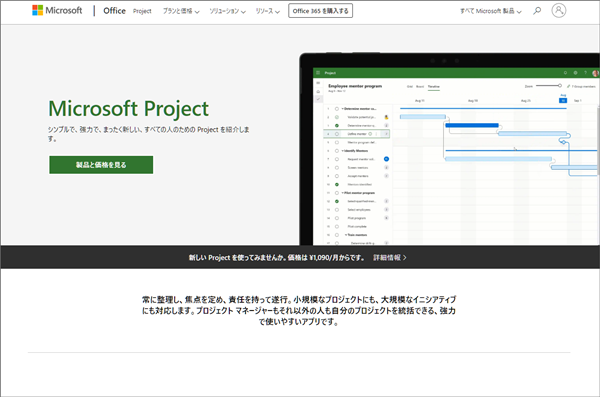 microsoft project