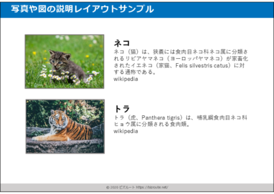 縦横比を保った図解テンプレート(パワーポイント)03