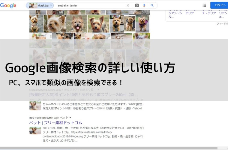 Google PC版 画像検索のやり方 | Android、iPhoneでも検索可能